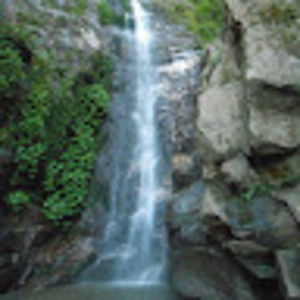 Meet your Posher, Codianne